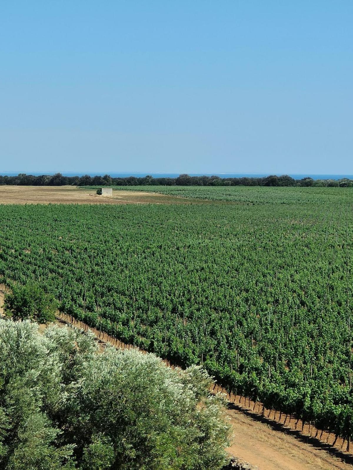 Nordisk Village Puglia Manduria Eksteriør billede